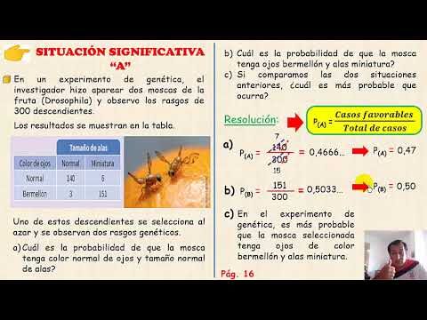 Innovaci&oacute;n en tecnolog&iacute;a antiincendios para carpas