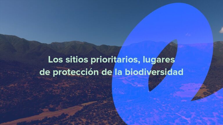 Protección contra incendios en zonas silvestres: estrategias efectivas