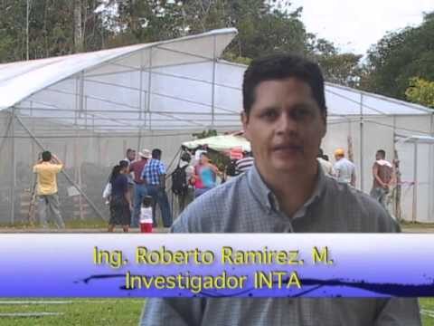 Beneficios de los Ambientes Protegidos