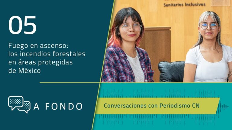 Vigas protegidas: seguridad contra incendios