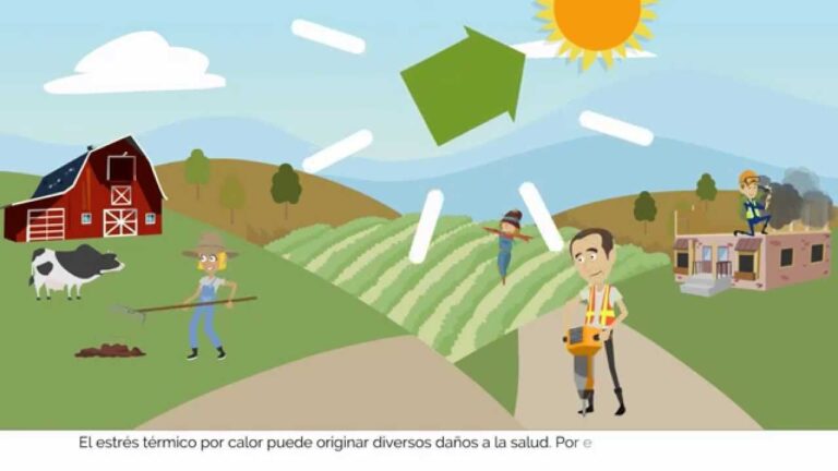 Prevenci&oacute;n de da&ntilde;os por calor: consejos clave