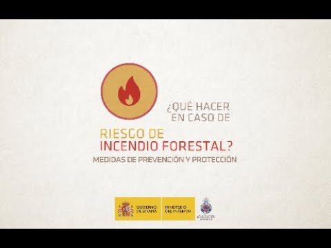 Seguridad contra riesgos de incendio: estrategias y prevenci&oacute;n